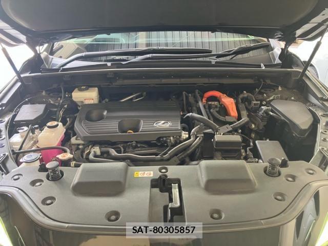 Lexus NX 2022-02 8074378-10