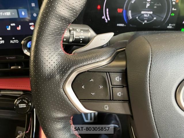 Lexus NX 2022-02 8074378-19