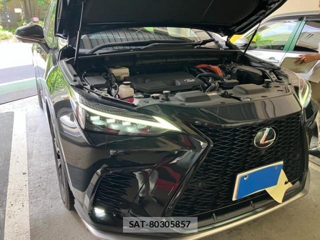 Lexus NX 2022-02 8074378-2