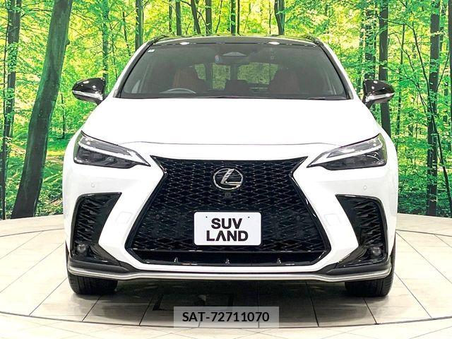 Lexus NX 2022-01 8100182-13