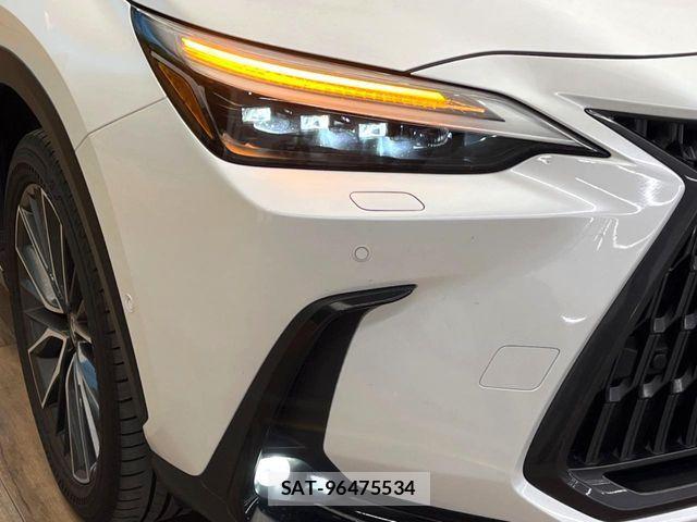 Lexus NX 2023-10 8146080-11