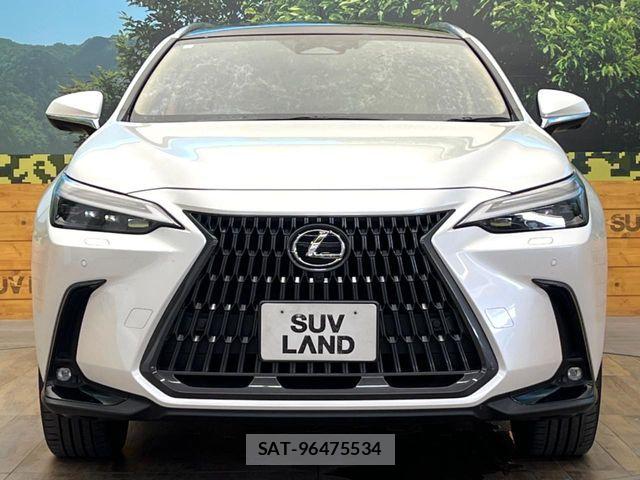 Lexus NX 2023-10 8146080-13