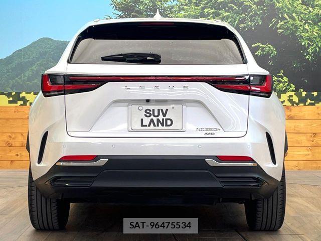 Lexus NX 2023-10 8146080-14