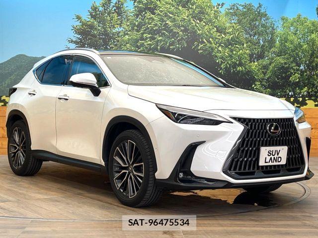Lexus NX 2023-10 8146080-15