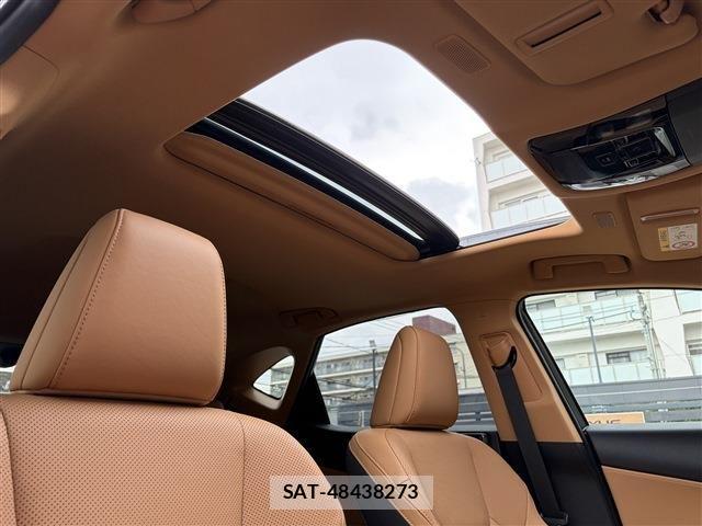 Lexus NX 2022-09 8158706-11