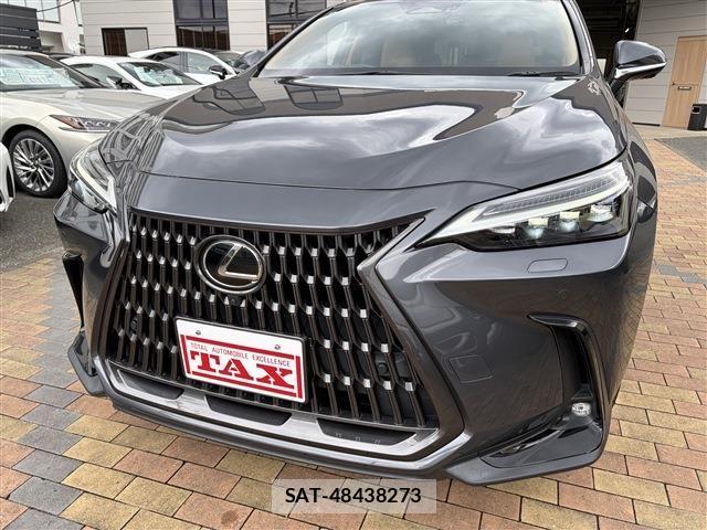 Lexus NX 2022-09 8158706-8