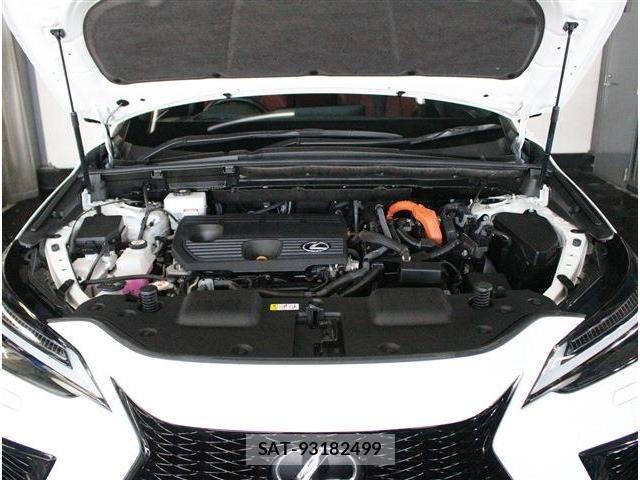 Lexus NX 2023-11 8208447-26