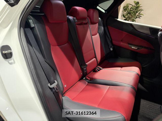 Lexus NX 2023-12 8245746-15