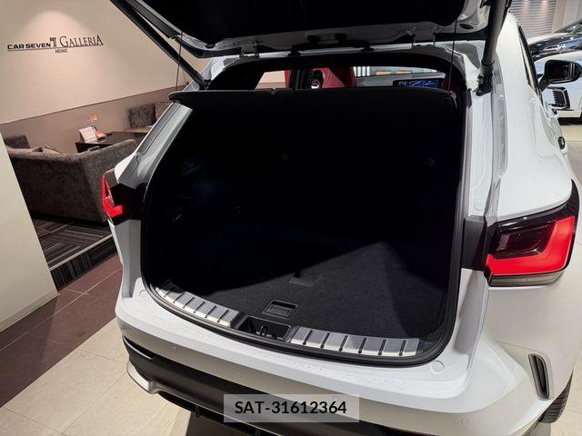 Lexus NX 2023-12 8245746-18