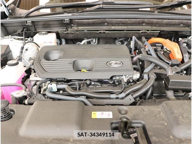 Lexus NX 2025-11 8315208-25