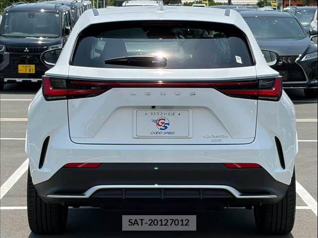 Lexus NX 2023-08 8336586-15