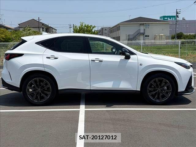 Lexus NX 2023-08 8336586-17