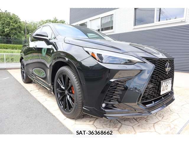 Lexus NX 2024-07 8366773-2