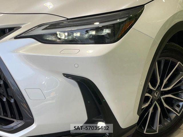 Lexus NX 2023-09 8366776-12