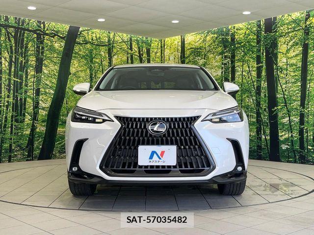 Lexus NX 2023-09 8366776-14