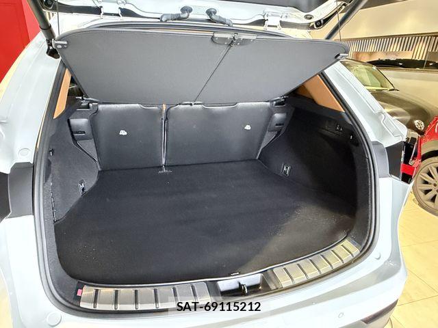 Lexus NX 2024-07 8413304-14