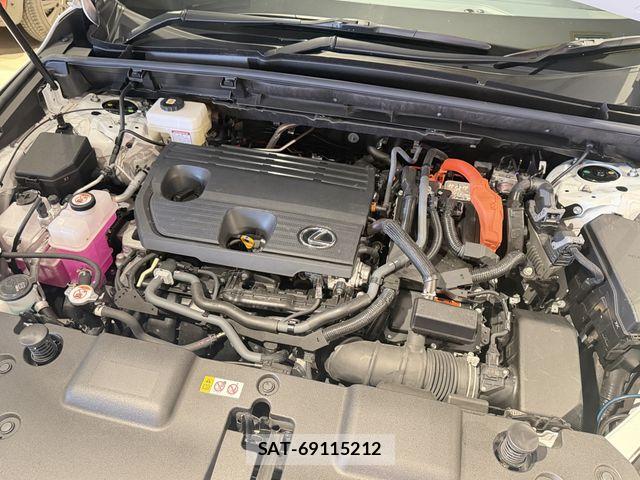Lexus NX 2024-07 8413304-29