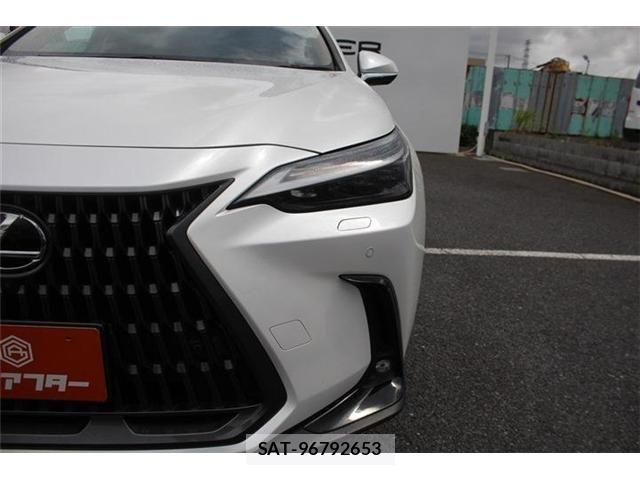 Lexus NX 2023-07 8413305-25