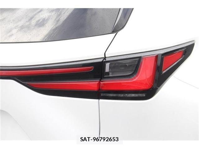 Lexus NX 2023-07 8413305-28