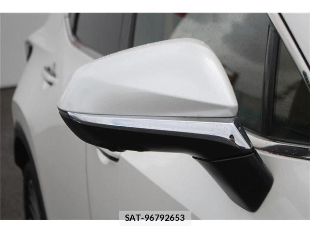 Lexus NX 2023-07 8413305-29
