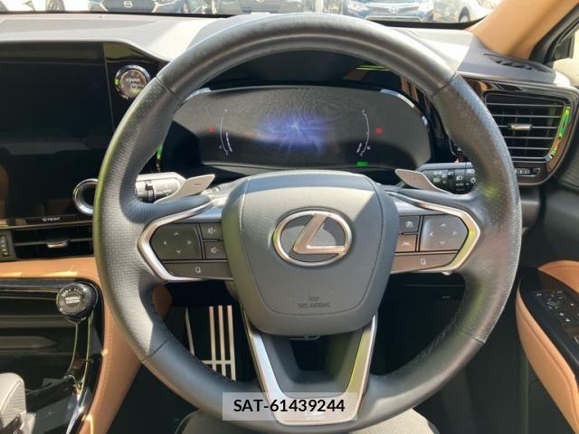 Lexus NX 2024-05 8485644-11