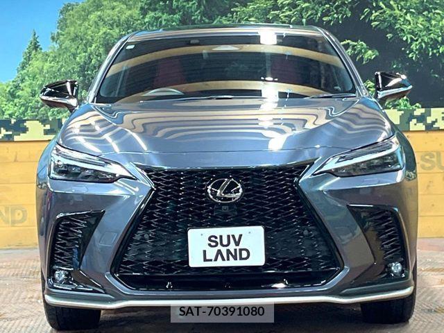 Lexus NX 2023-02 8525582-13