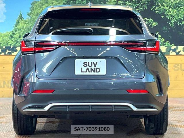 Lexus NX 2023-02 8525582-14