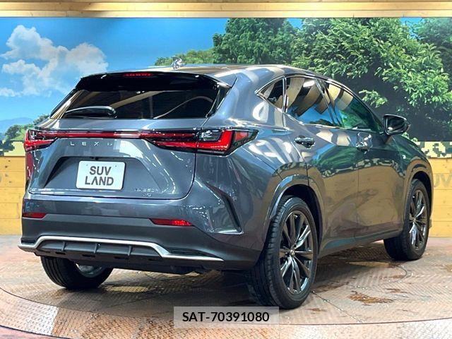Lexus NX 2023-02 8525582-16