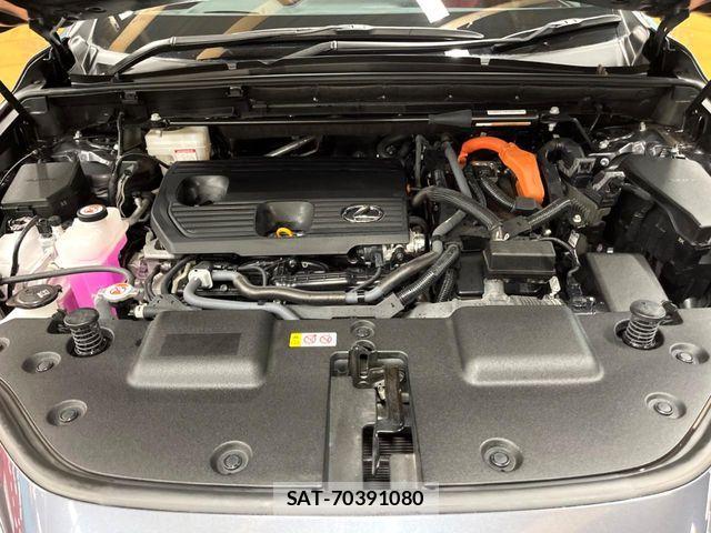 Lexus NX 2023-02 8525582-17