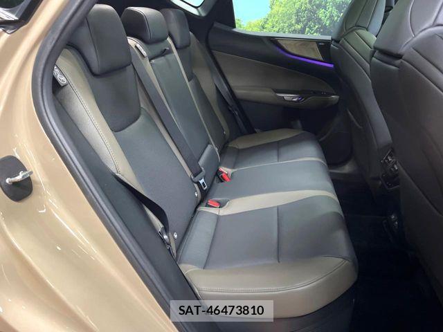 Lexus NX 2024-09 8525581-9