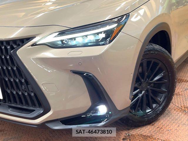 Lexus NX 2024-09 8525581-11