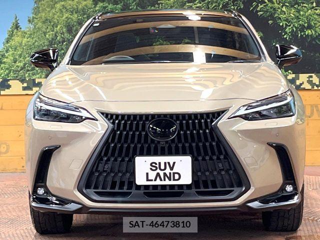 Lexus NX 2024-09 8525581-13