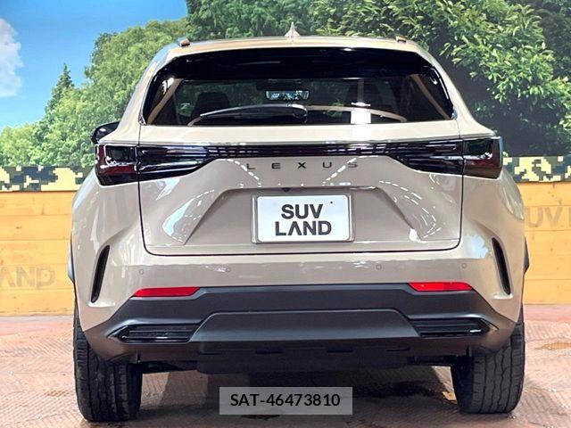 Lexus NX 2024-09 8525581-14