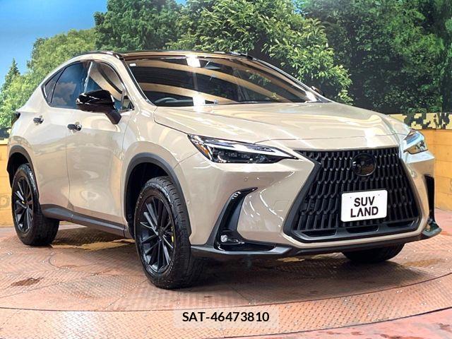 Lexus NX 2024-09 8525581-15