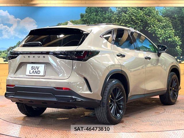 Lexus NX 2024-09 8525581-16