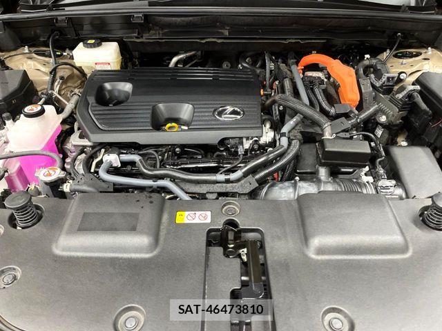 Lexus NX 2024-09 8525581-17