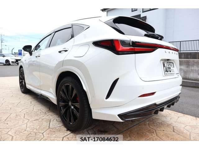Lexus NX 2025-01 8666419-4