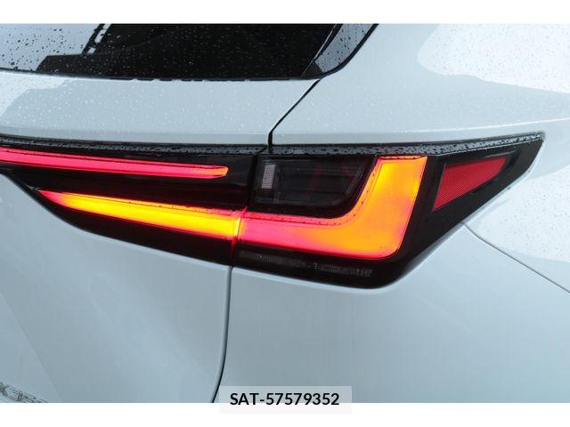 Lexus NX 2025-07 8666422-14