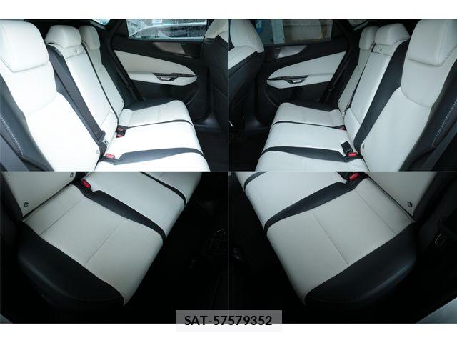 Lexus NX 2025-07 8666422-19