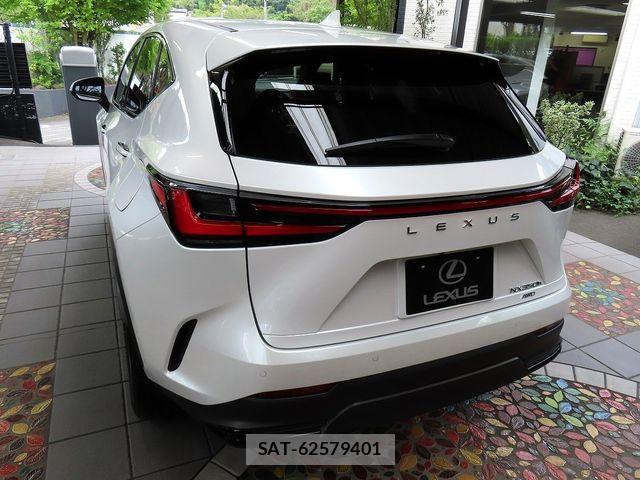 Lexus NX 2024-02 8685866-10