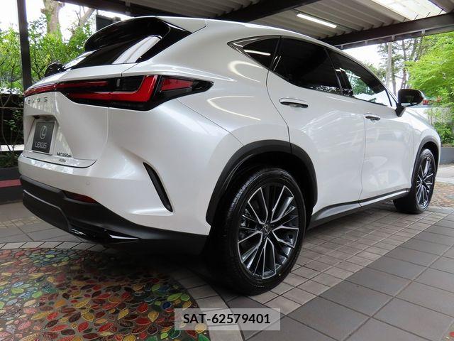 Lexus NX 2024-02 8685866-12