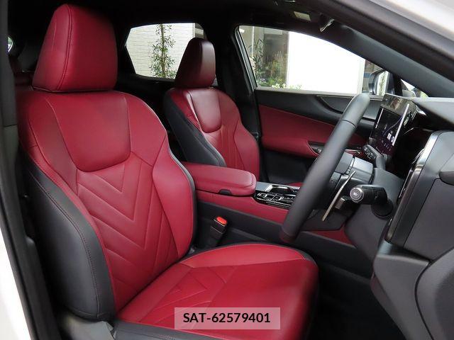 Lexus NX 2024-02 8685866-16