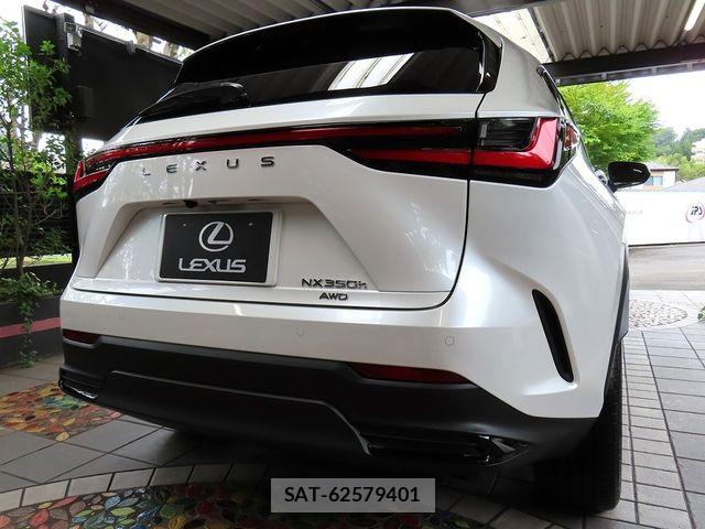 Lexus NX 2024-02 8685866-1