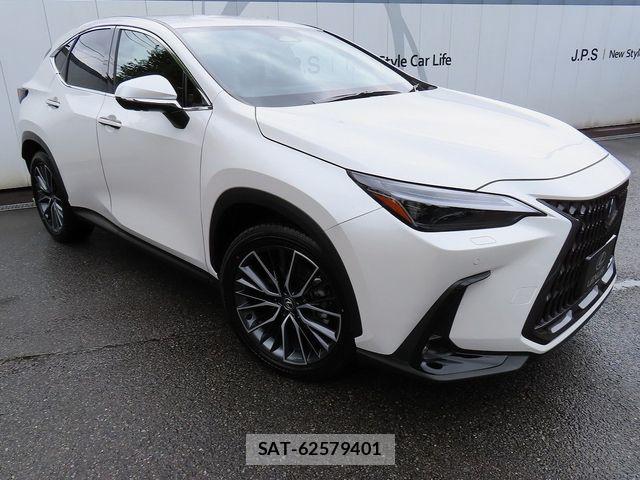 Lexus NX 2024-02 8685866-28