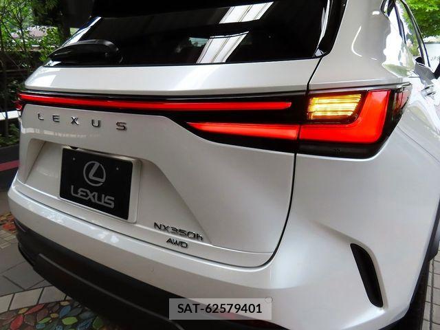 Lexus NX 2024-02 8685866-8