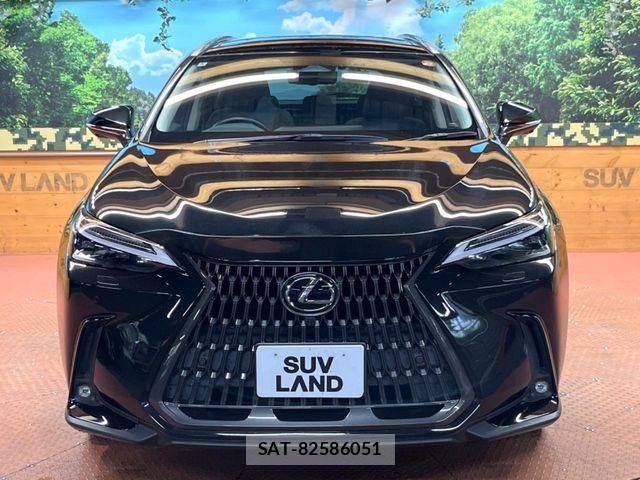 Lexus NX 2022-05 8780898-15