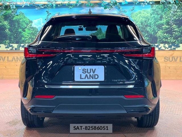 Lexus NX 2022-05 8780898-16