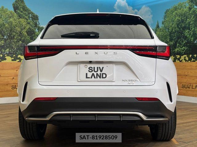 Lexus NX 2024-03 8796502-15