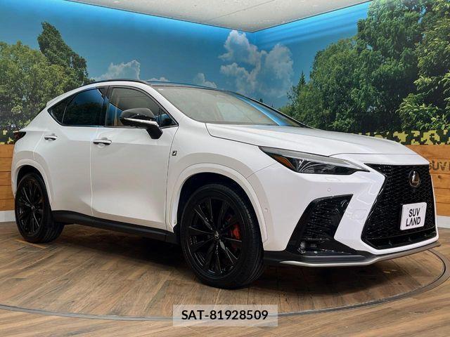 Lexus NX 2024-03 8796502-16