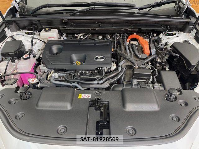 Lexus NX 2024-03 8796502-18